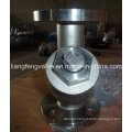 Aço inoxidável Flanged End Y-Strainer RF